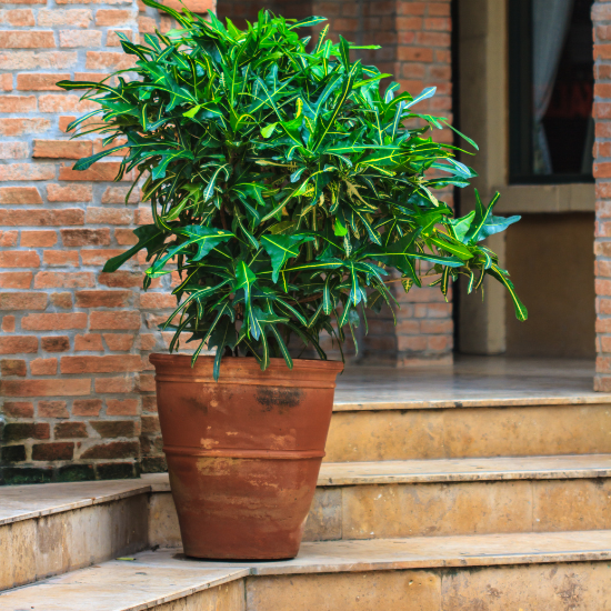 Discover 10 budget-friendly curb appeal ideas to enhance your front porch. Simple, affordable tips to create a welcoming and stylish entryway for your home.