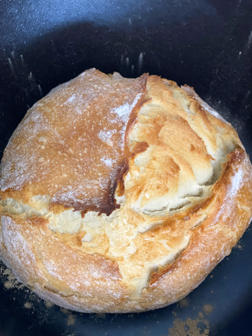 Learn how to make this Dutch Oven Bread Recipe with just 4 ingredients! A simple, delicious bread baked to perfection with a crispy crust and soft interior.